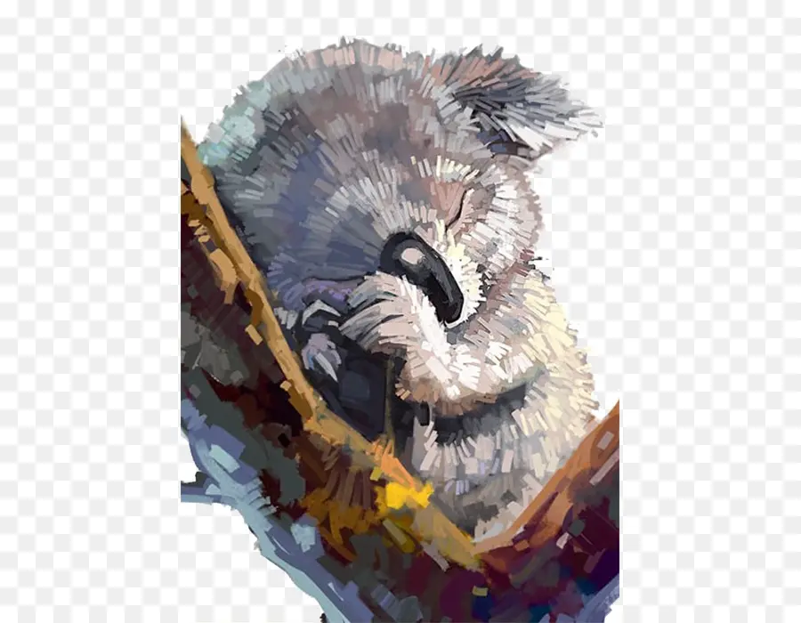 Koala，Uyku PNG