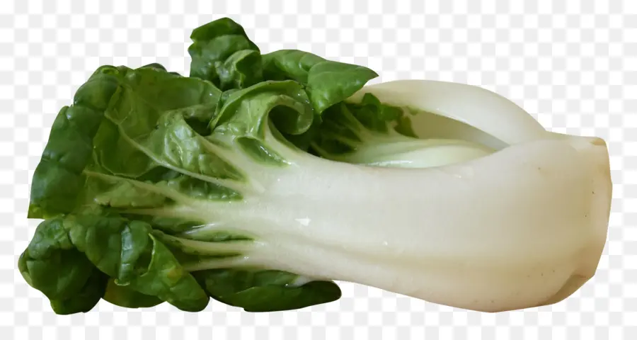 Bok Choy，Yeşil PNG