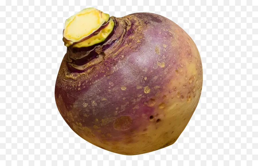 Rutabaga，Kök PNG