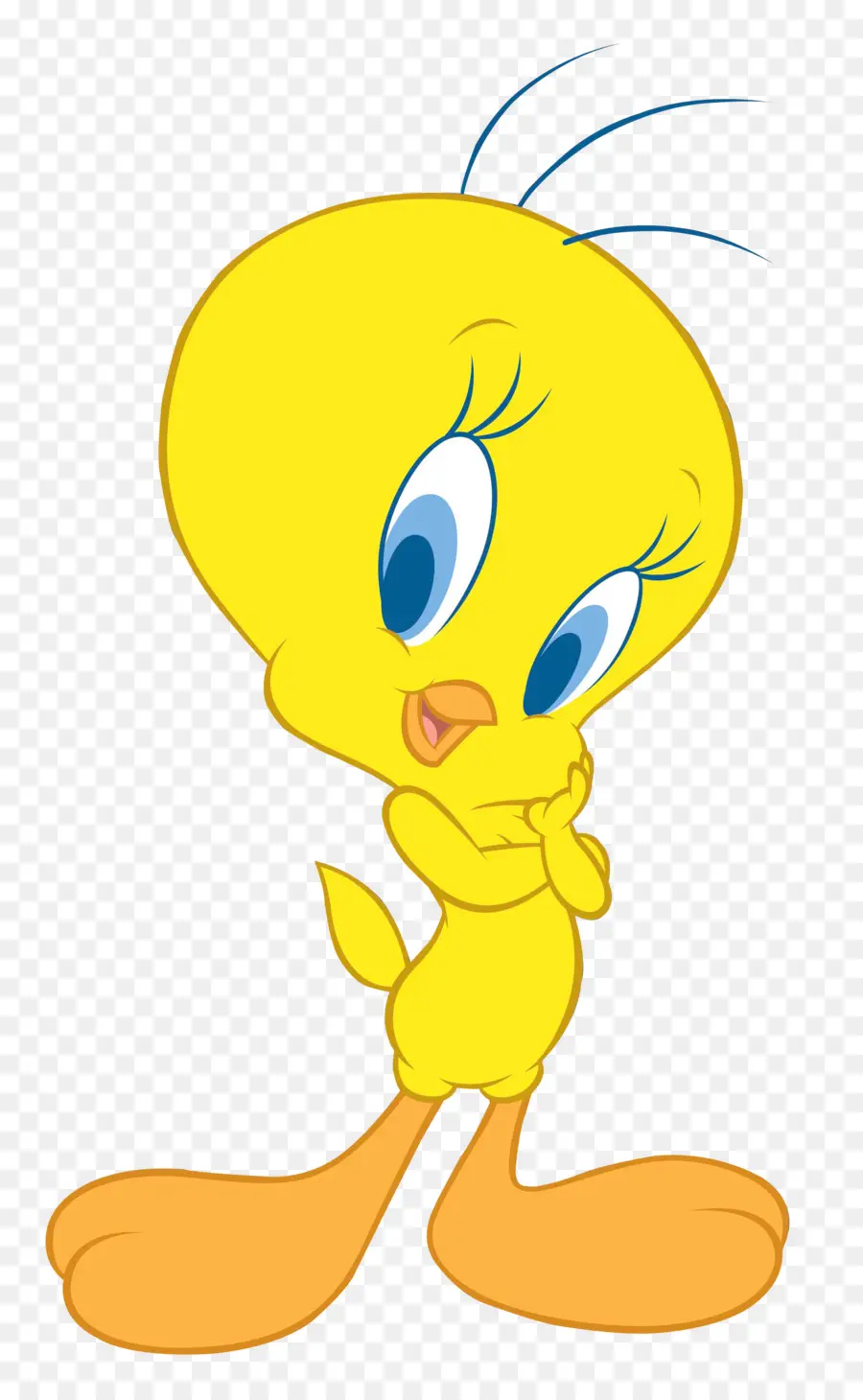 Tweety，Metin PNG