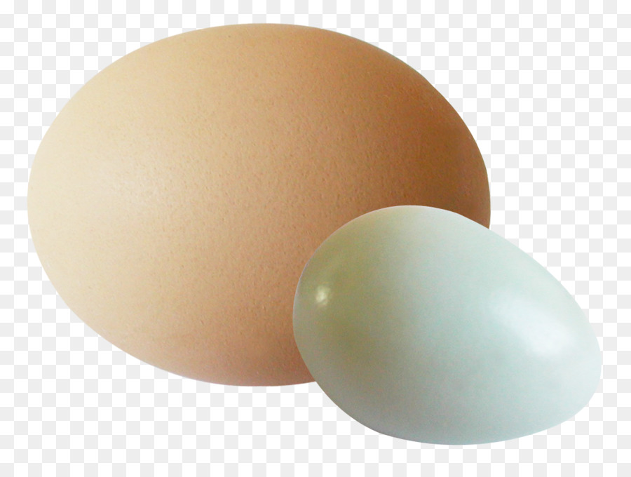 Yumurta Beyazı，Yumurta PNG
