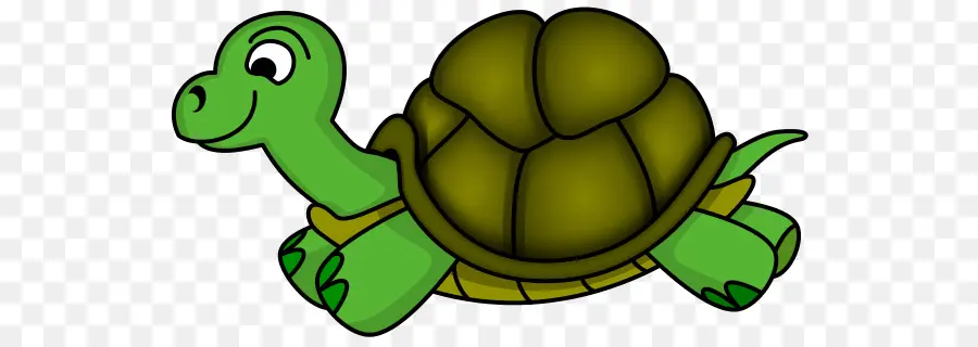 Kaplumbağa，Yaşlı Kaplumbağa PNG