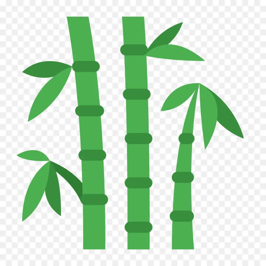Bambu，Stok Illüstrasyon PNG
