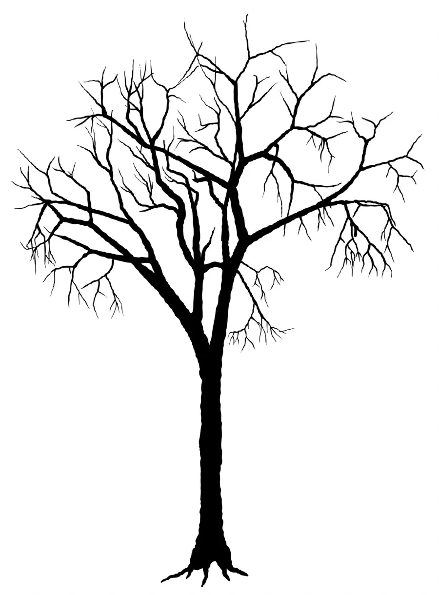 Ağaç，Siluet PNG