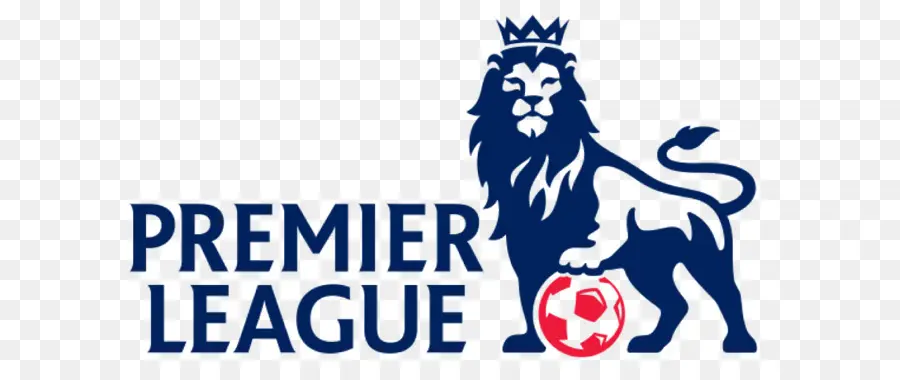 İngiliz Futbol Ligi，Leicester City Fc PNG
