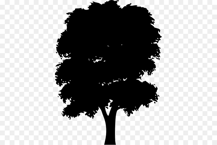 Ağaç，çam PNG