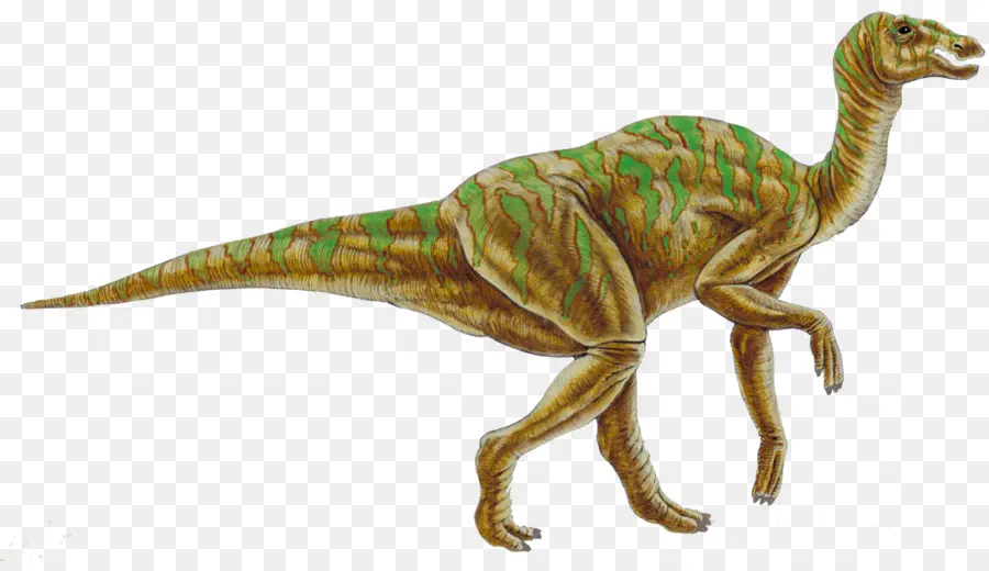 Hadrosaurus，Kritosaurus PNG