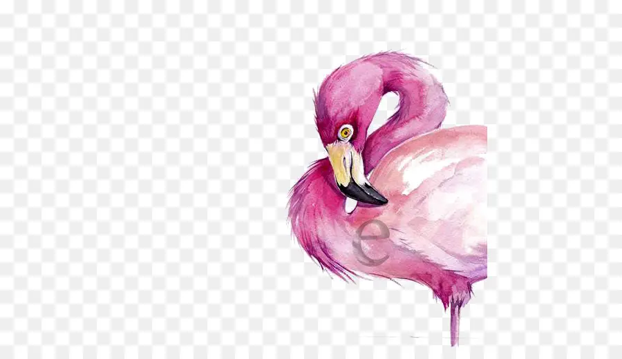 Flamingo，Pembe PNG