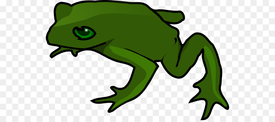 Kurbağa Kermit，Kurbağa PNG