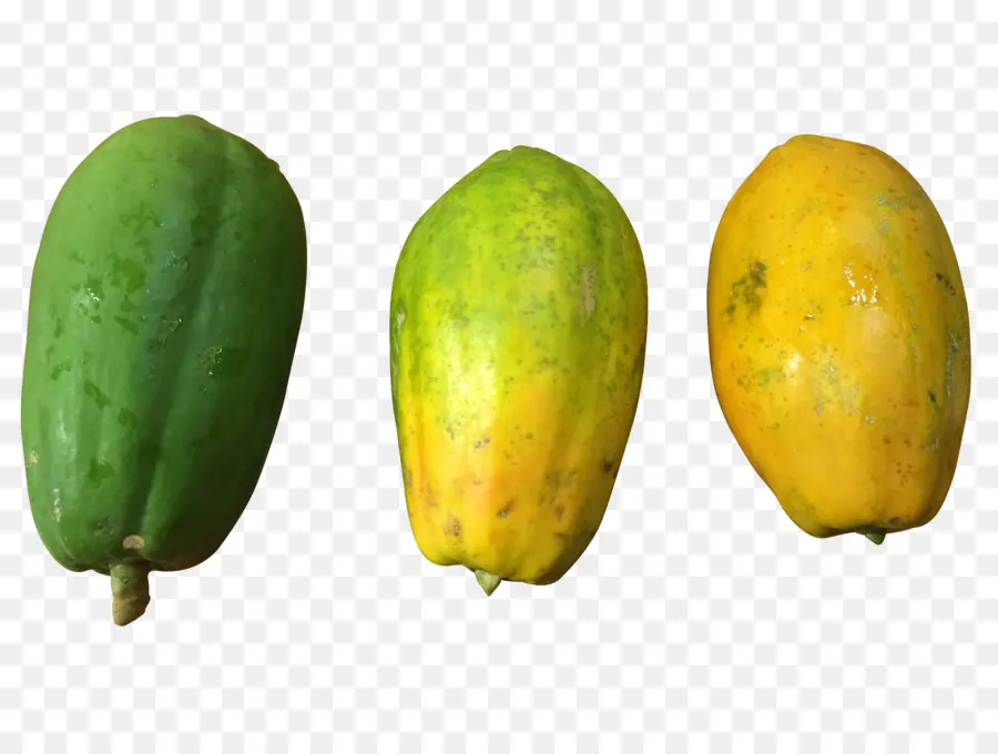 Papaya，Olgunlaşma PNG