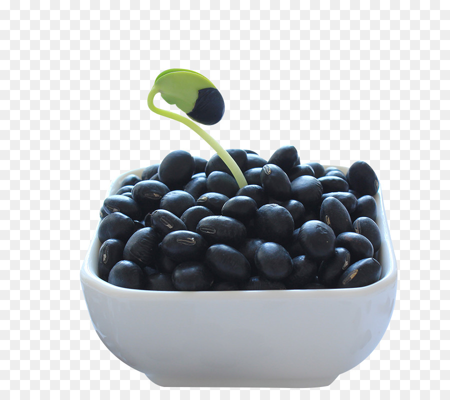 Siyah Kaplumbaga Fasulye Pilav Ve Fasulye Yemek Blueberry Yesil Cekirdek Siyah Fasulye Seffaf Png Goruntusu