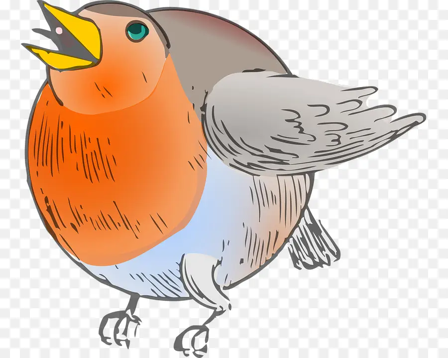 Kuş，Robin PNG