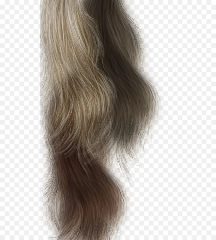 Saç，Uzun Saç PNG