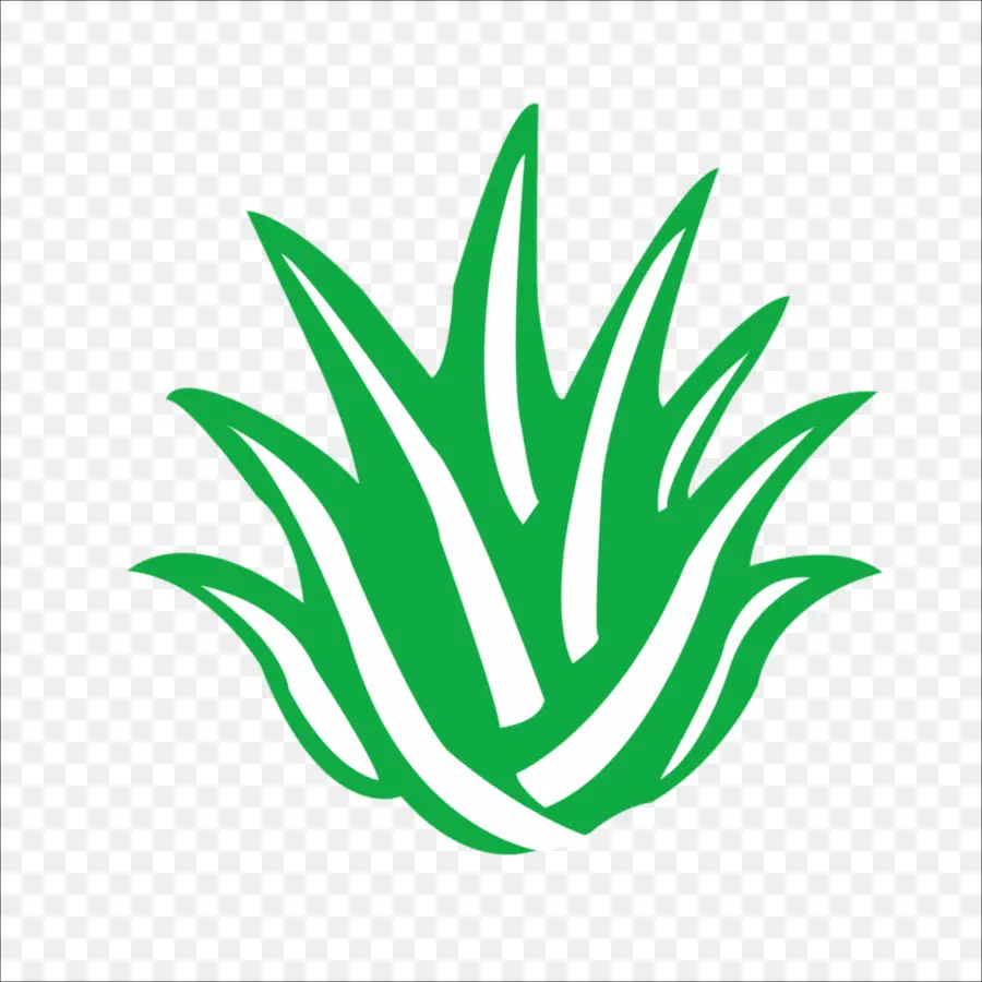 Aloe Vera，Logo PNG