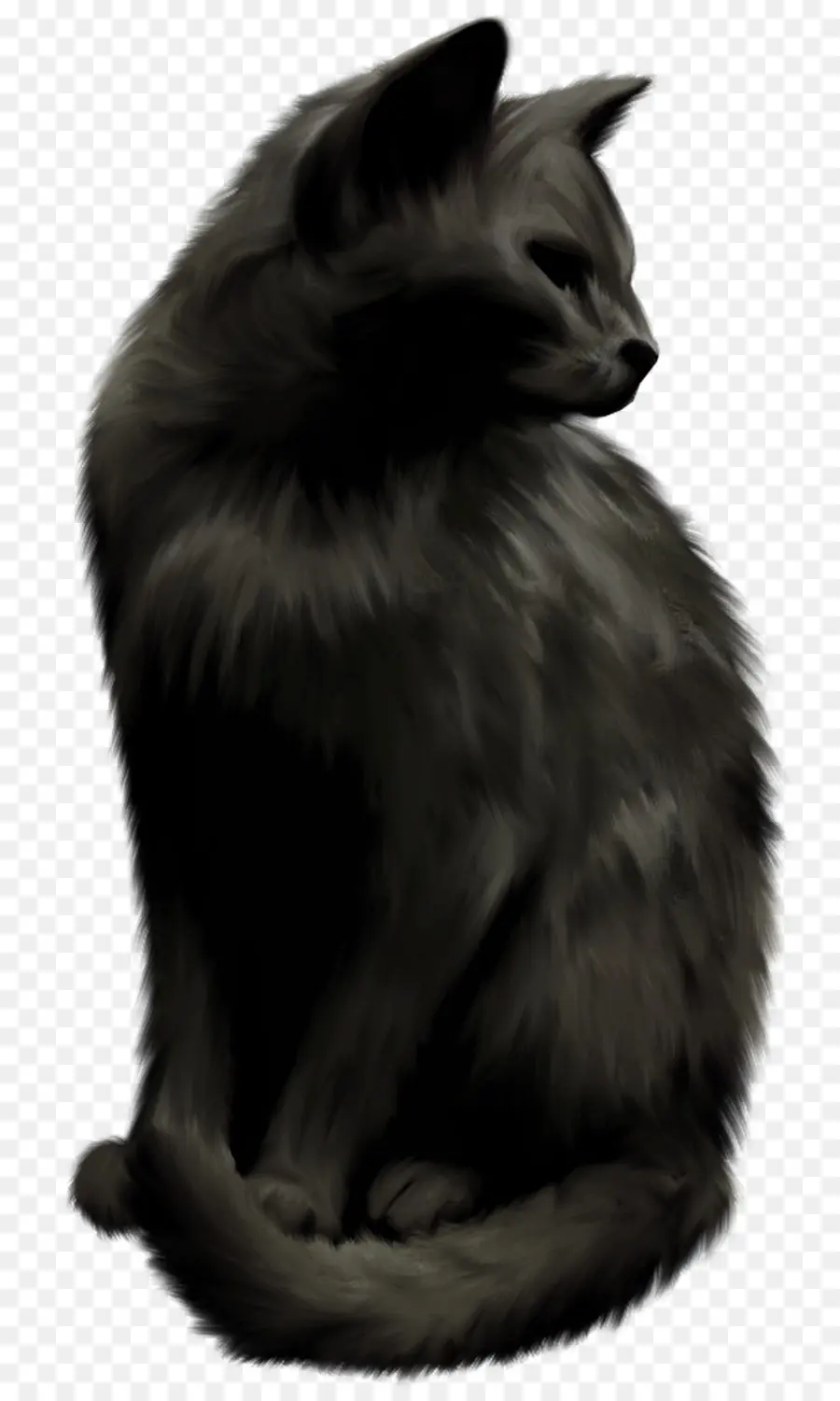 Kara Kedi，Kedi PNG