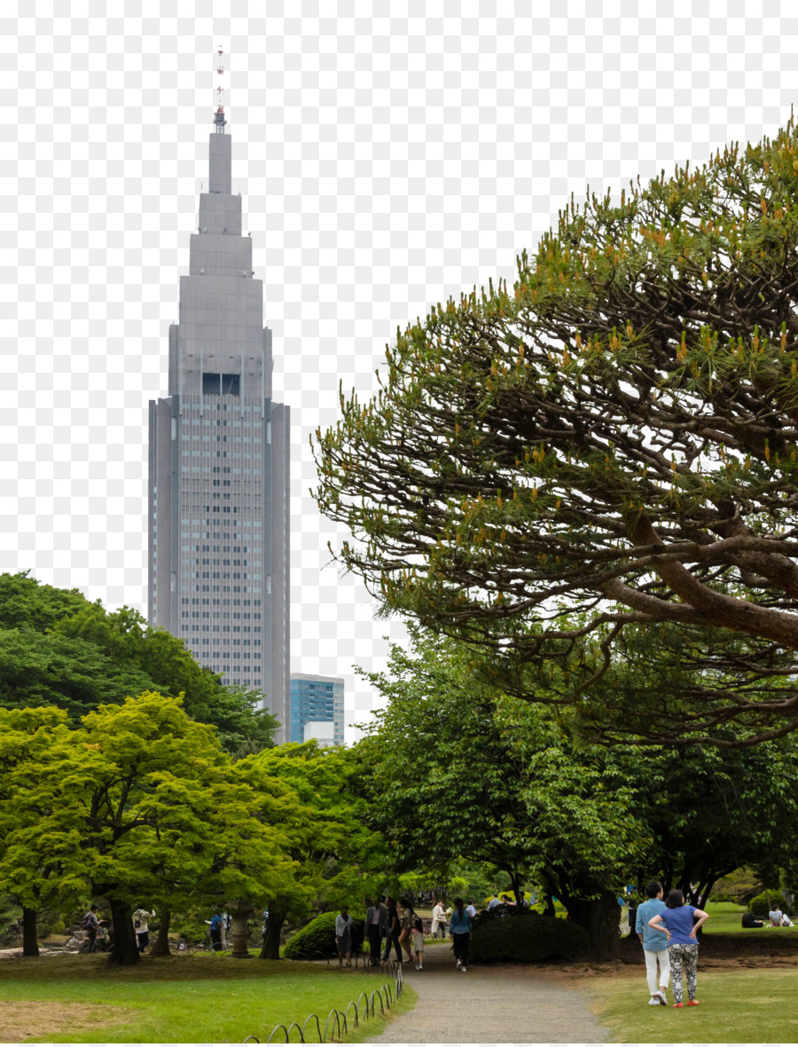 Meiji Tapınağı，Odaiba PNG