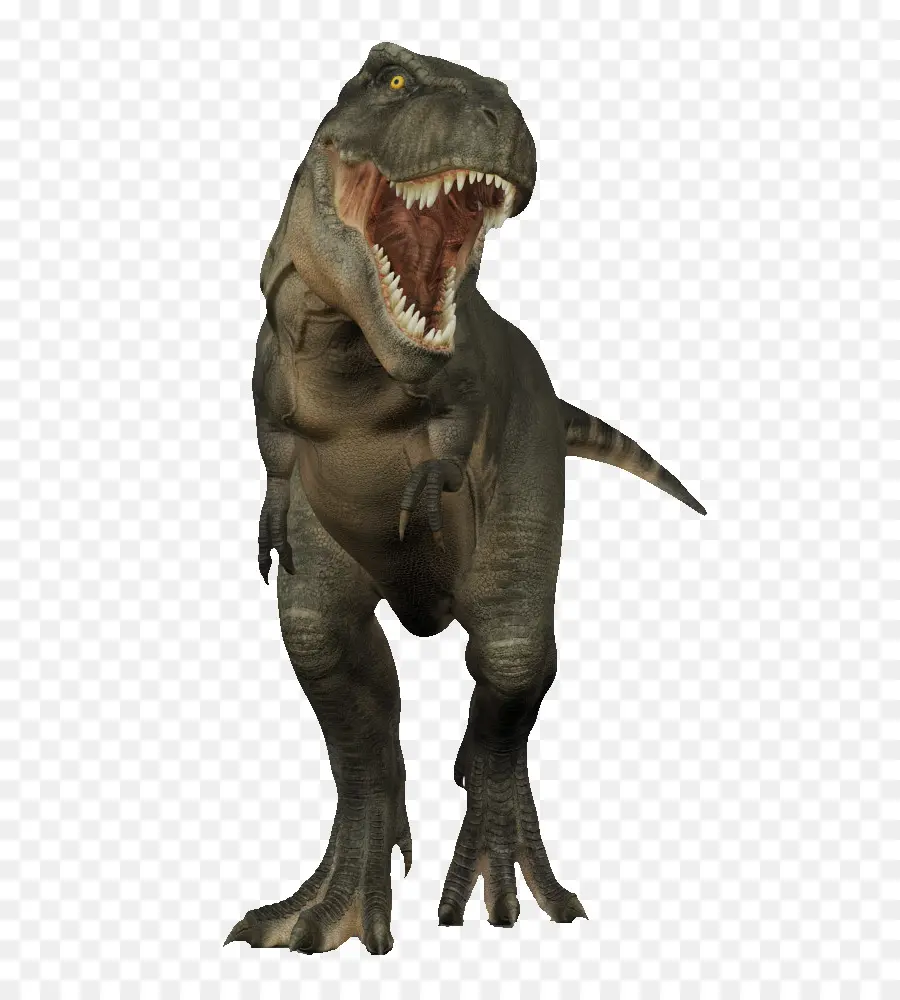 Emre Aksoylu，Dinozor PNG