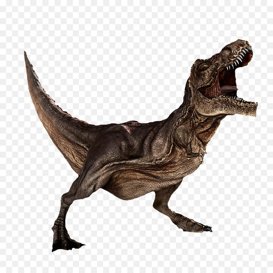 Dinozor，Emre Aksoylu PNG