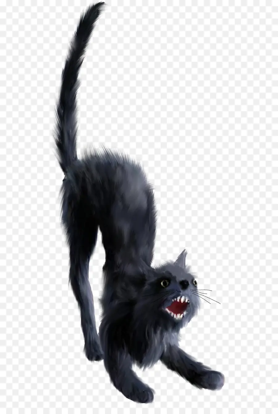 Kara Kedi，Kedi PNG