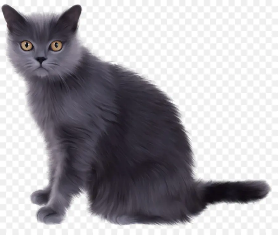 Kedi，Evcil Hayvan PNG