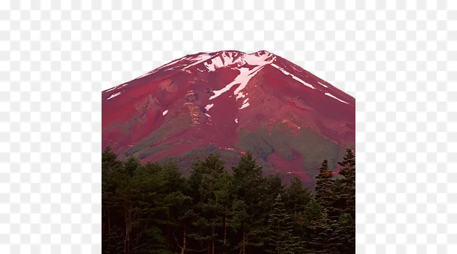 Fuji Dağı，Aokigahara PNG
