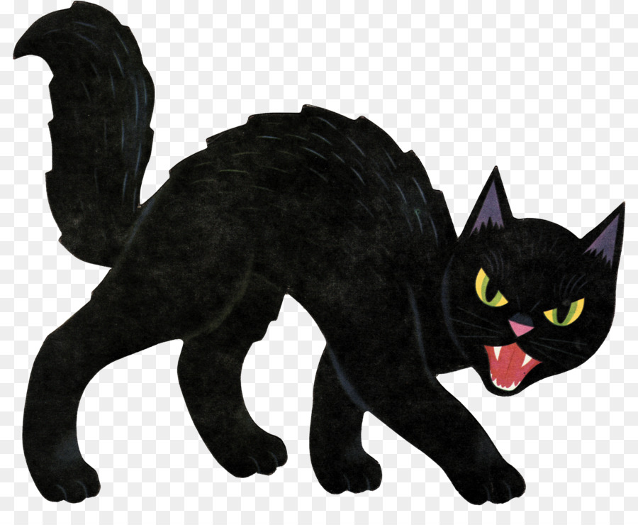 Siyah kedi Cadılar Bayramı Yavru kedi küçük resim cadı kedi şeffaf