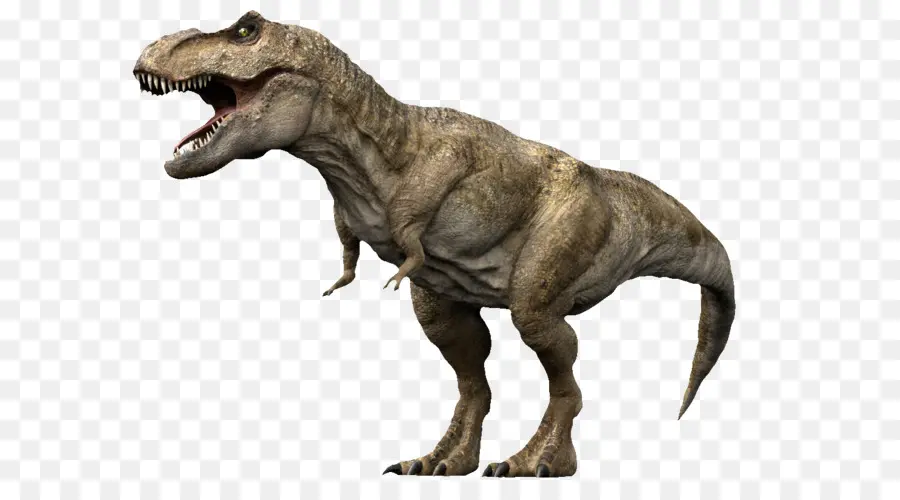 3d Devlerin Savaş Dinozorlar，Tyrannosaurus PNG