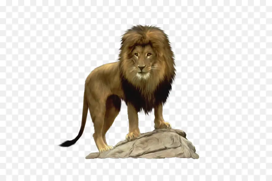 Aslan，Kral PNG