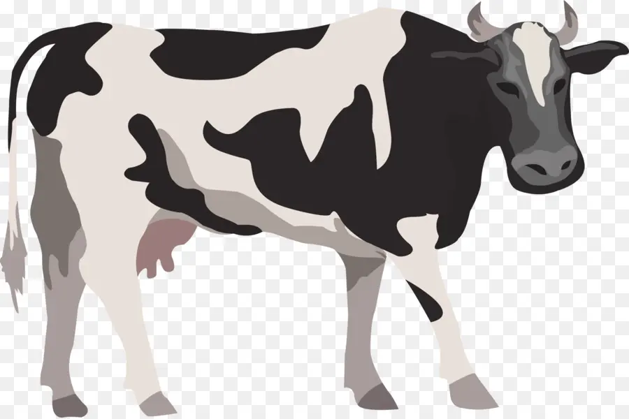 Sığır，Koyun PNG