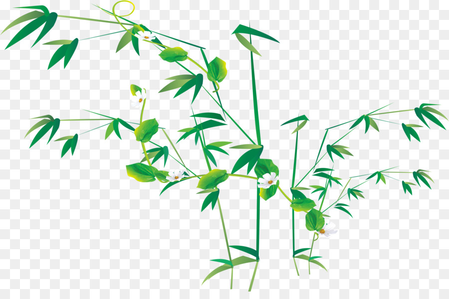 Bambu，çiçek PNG