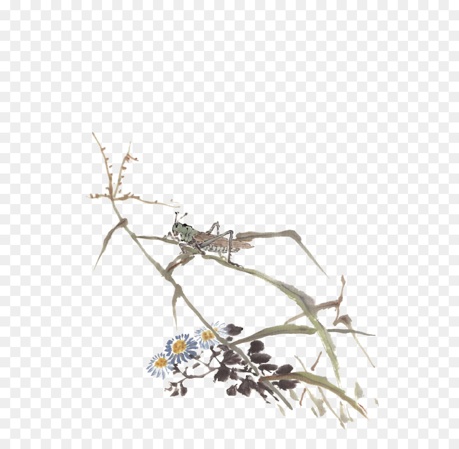 Qing Hanedanı，Birdandflower Resim PNG