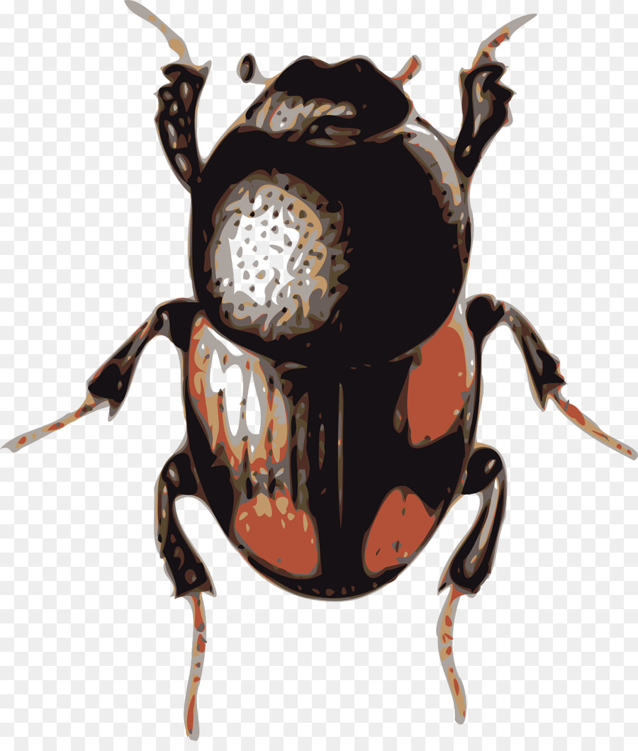 Böcek，Volkswagen Beetle PNG
