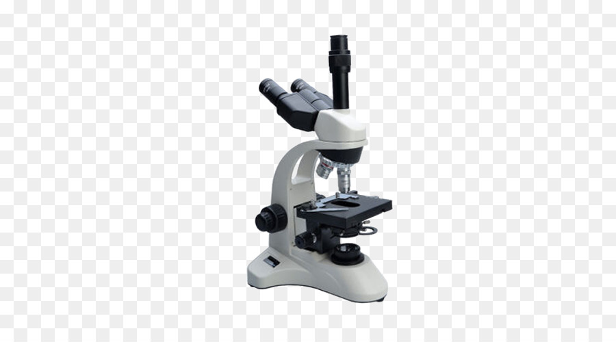Mikroskop，Biyoloji PNG