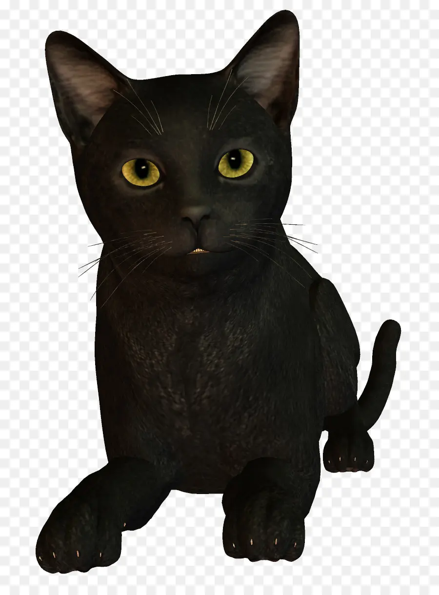 Kara Kedi，Evcil Hayvan PNG