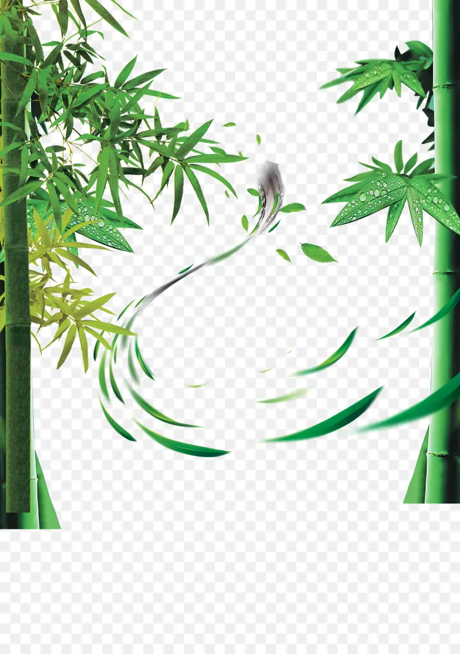 Bambu，Bamboe PNG