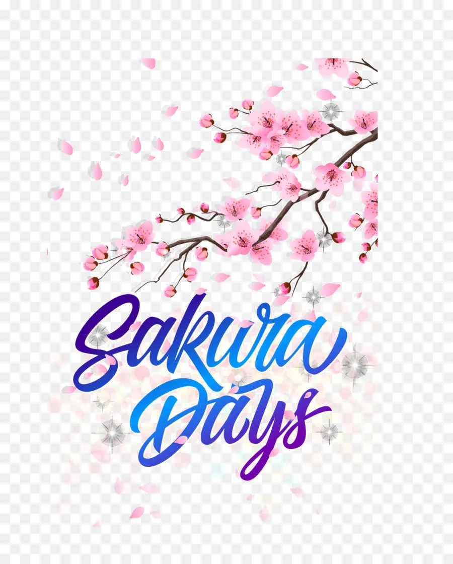 Sakura Günleri，Kiraz Çiçekleri PNG