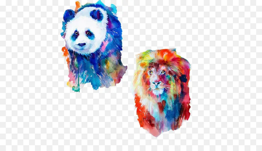 Panda Ve Aslan，Panda PNG