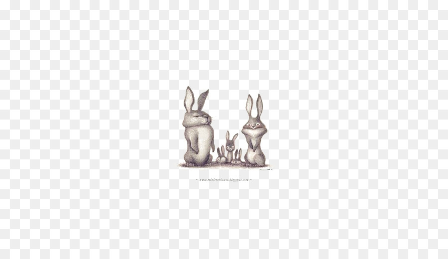 Tavşan，ıllustrator PNG
