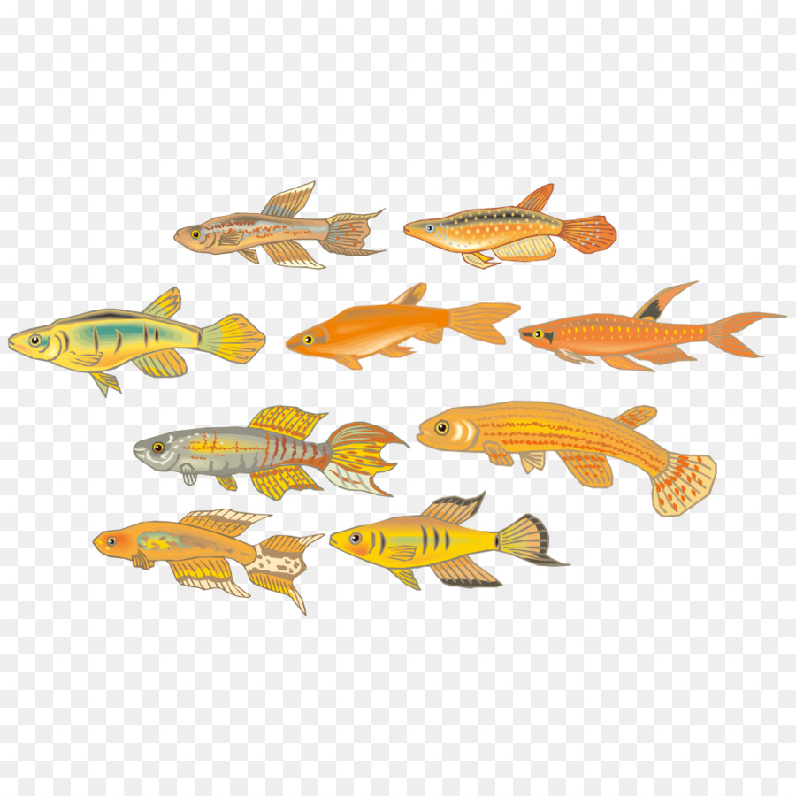 Balık，Karikatür PNG