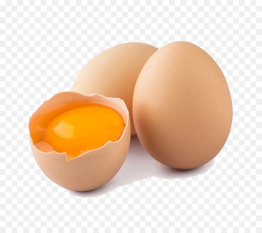 Tavuk Yumurtası，Onsen Tamago PNG
