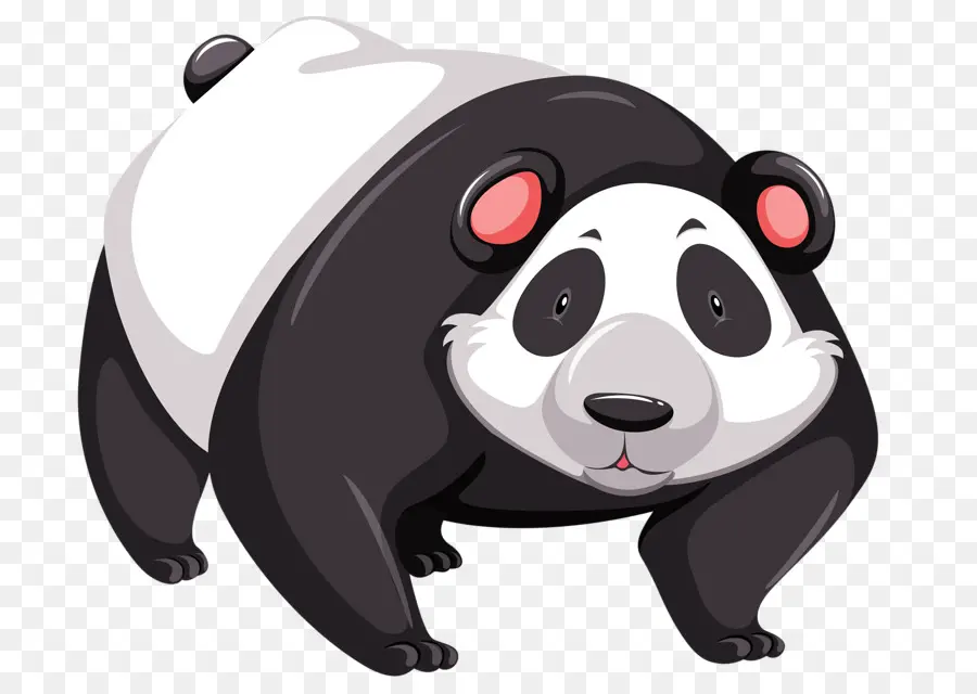 Karikatür Panda，Ayı PNG