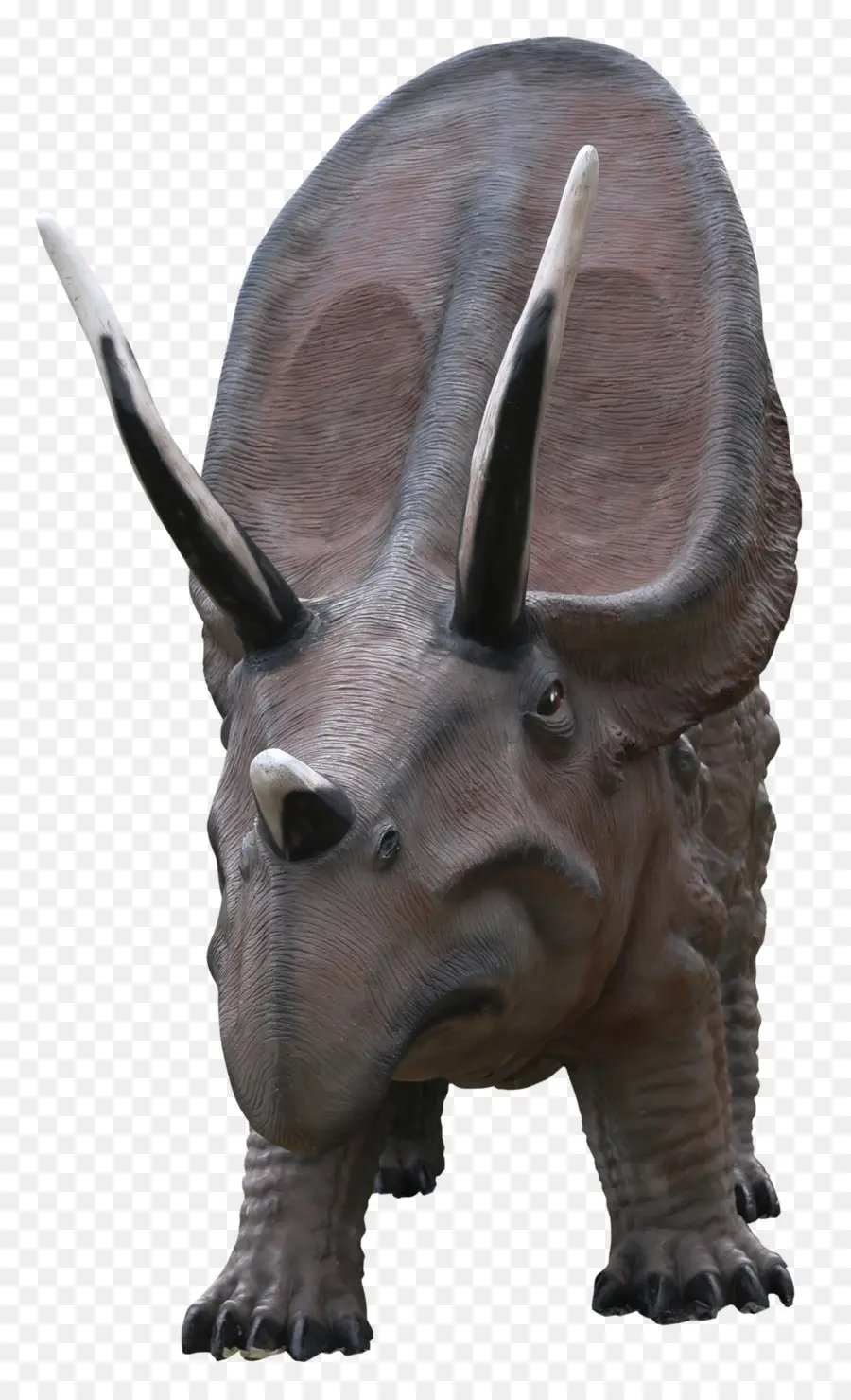 Triceratops，Tarih öncesi PNG