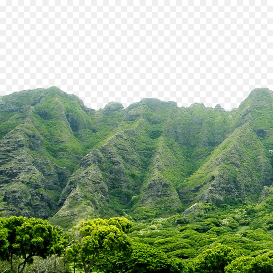 Yeşil Dağlar，Dağ PNG