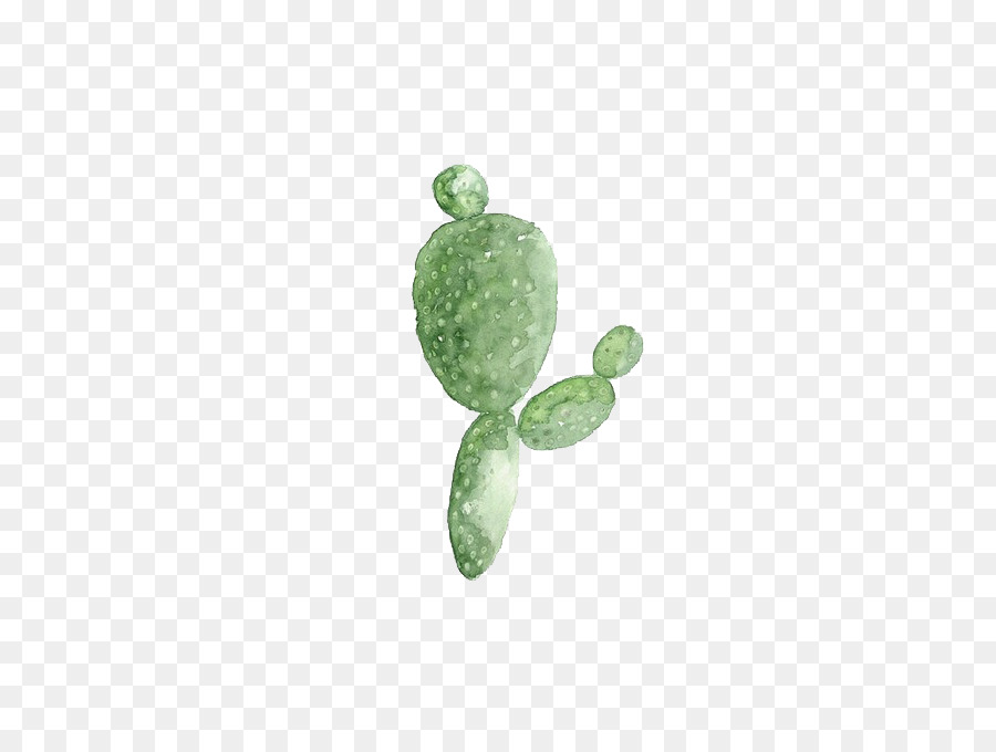 Yeşil，Cactaceae PNG