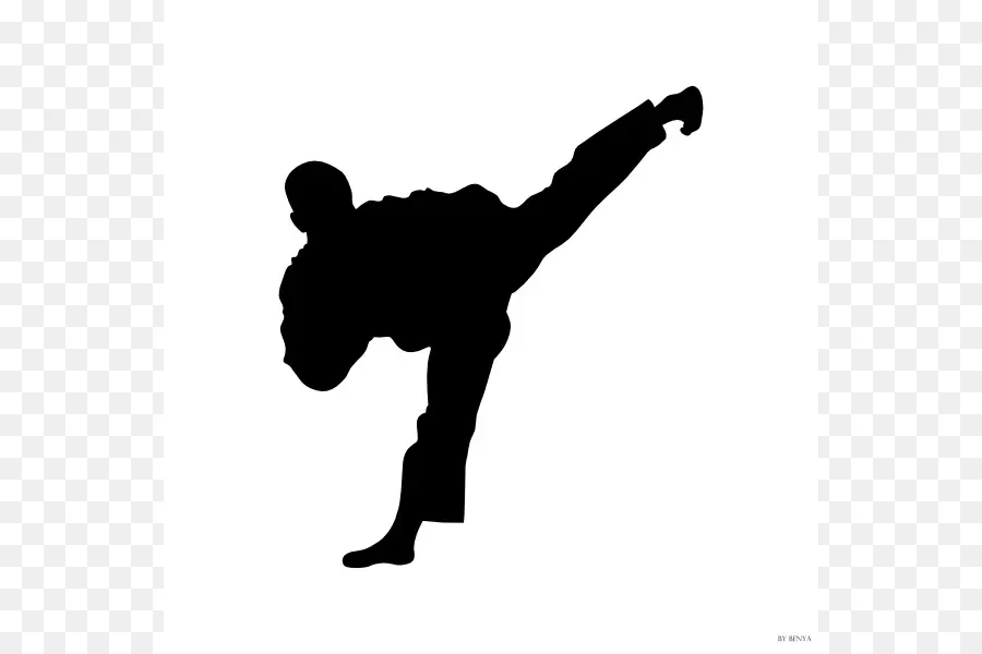 Dövüş Sanatçısı，Karate PNG