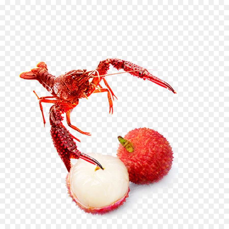 ıstakoz Ve Lychee，Deniz ürünleri PNG