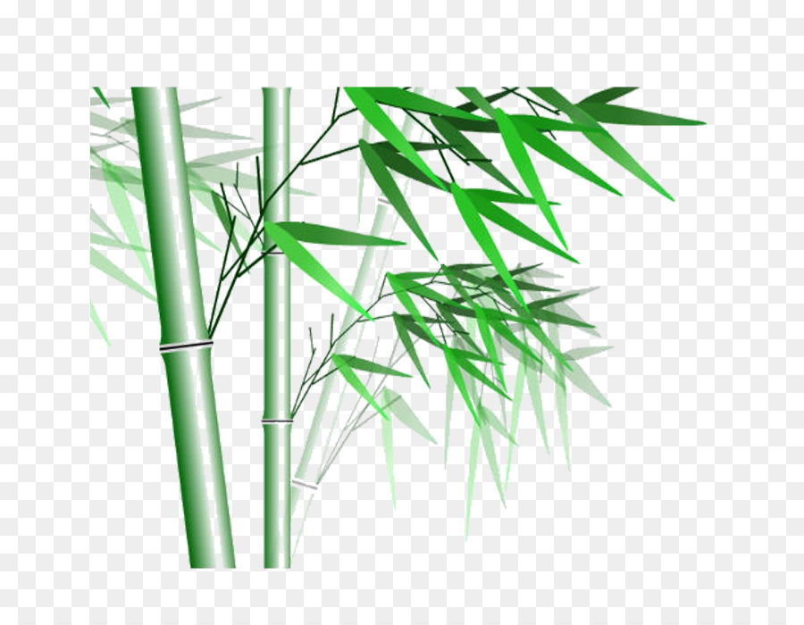 Bambu，Yüksek çözünürlüklü Televizyon PNG