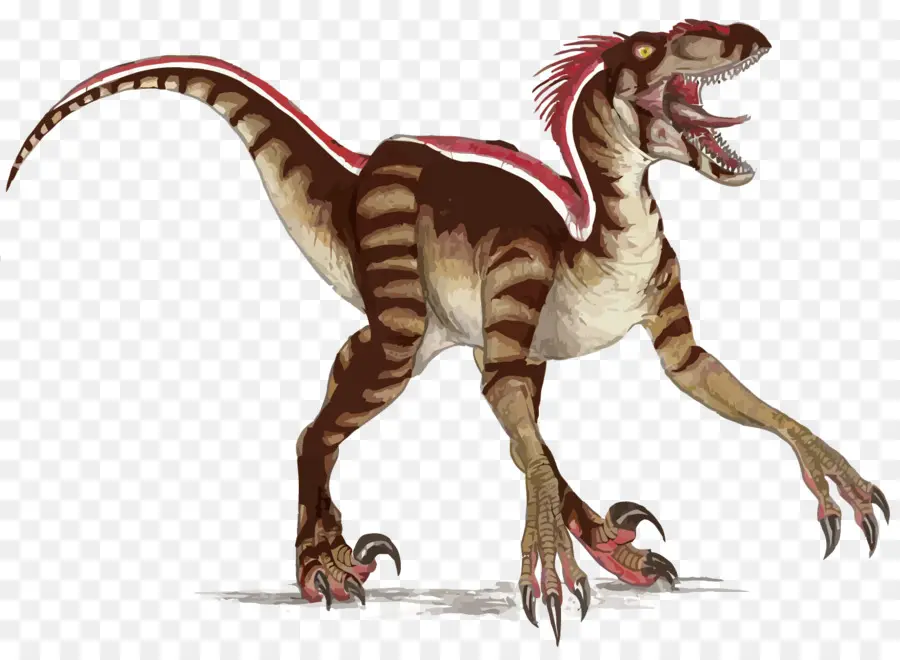 Alevli Uçurumlar，Velociraptor PNG
