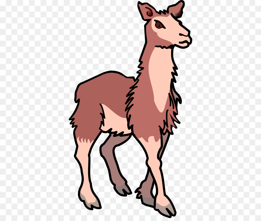 Lama，Memeli PNG