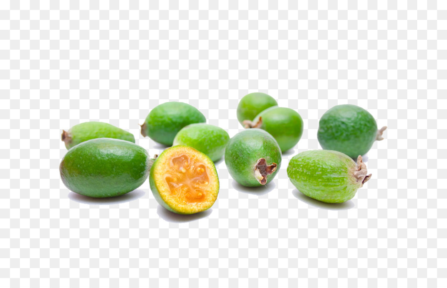 Feijoa，Yeşil PNG